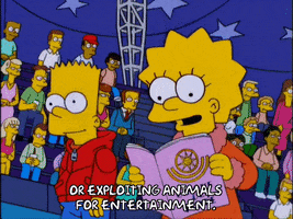 talking bart simpson GIF