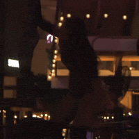 Champion 1 Percent GIF