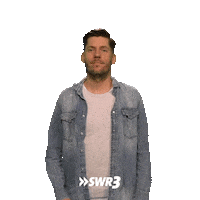 Wave Hello Sticker by SWR3