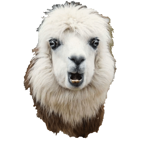 Friday Atlanta Sticker by Your Alpaca Cottage