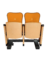 Theatre Sticker by Stadsgehoorzaal Vlaardingen