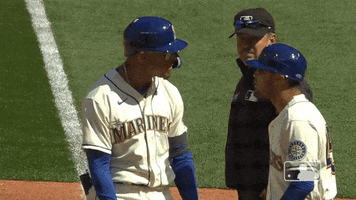 Lets Go Sport GIF by MLB