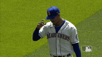 Major League Baseball Sport GIF by MLB