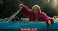 Nice To Meet You Stranger Things GIF by Signature Entertainment
