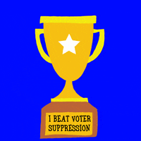 Voting Election 2020 GIF by INTO ACTION