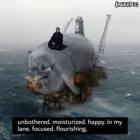 Sleep Sleeping GIF by Nikepig