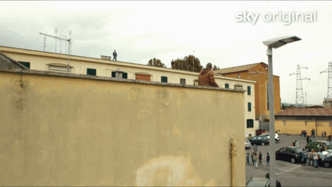 Sky_ES giphyupload sky mafia bomba GIF