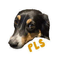 Dog Please Sticker