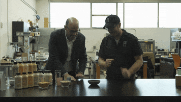 NoPotSer tv3 baste jordi baste no pot ser GIF