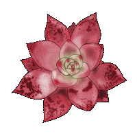 Chelcieelise pink sticker red green Sticker