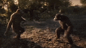 Adventure Of A Lifetime GIF by Coldplay