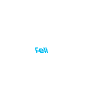 feliciocontabilidade feliz felicio nosso jeito felicio contabilidade Sticker