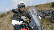 Honda Yes GIF by Greg Villalobos