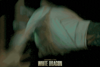 Power Rangers Fighting GIF by Signature Entertainment