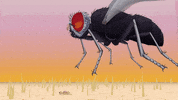 slow motion fly GIF by South Park 