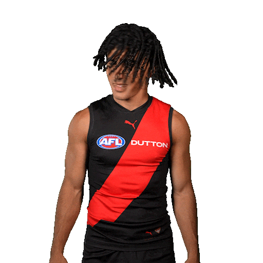 Football Sport Sticker by Essendon FC