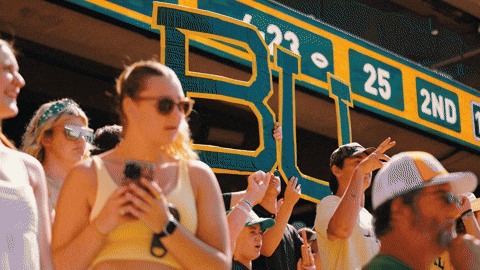 Baylor Bears Sic Em GIF by Baylor Athletics
