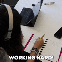 college GIF by Lynn University Admission