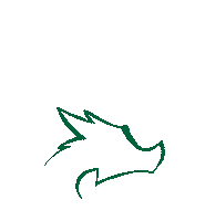 Cheer Cheerleader Sticker by Danube Dragons Cheerleading