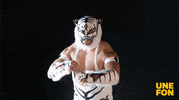 lucha libre fight GIF by Unefon