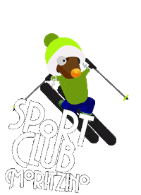 skidifferent dolomites sudtirol dolomiti alta badia Sticker