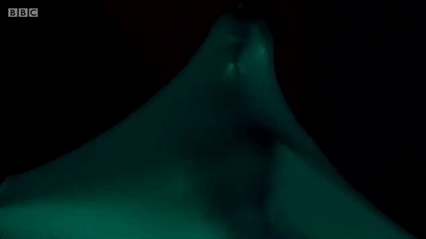 katy perry big weekend 2017 GIF by BBC Radio 1’s Big Weekend