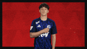Schalke 04 Football GIF by Bundesliga
