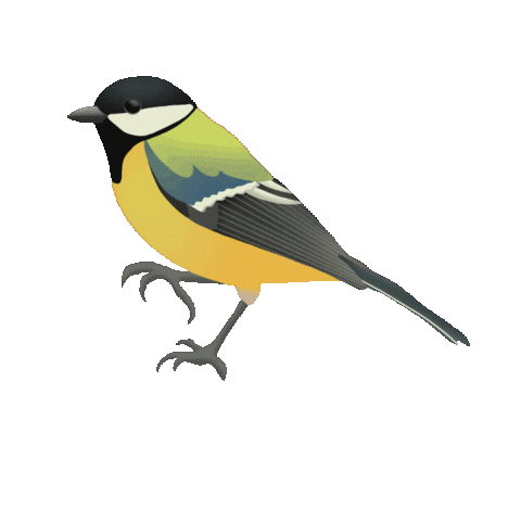 laurajoydesign illustration bird designer greattit Sticker