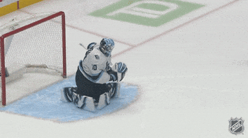 National Hockey League Dancing GIF by NHL