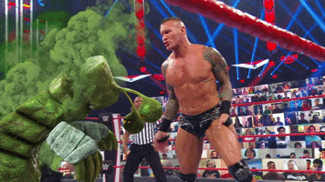 Merry Christmas GIF by WWE