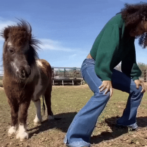 Happy Go Crazy GIF