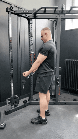 Funny GIF
