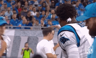 carolina panthers football GIF by NFL