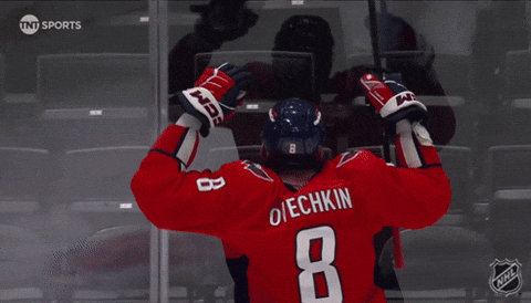 Happy Washington Capitals GIF by NHL