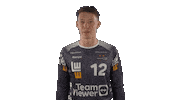Handball-Bundesliga Love Sticker by LIQUI MOLY HBL