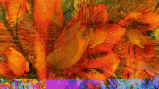 Digital Artist Glitch GIF by Crystal Beiersdorfer