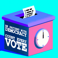 Right To Vote 2020 Election GIF by INTO ACTION