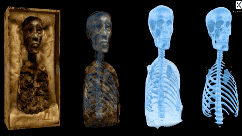 King Tut Halloween GIF by ElmonX