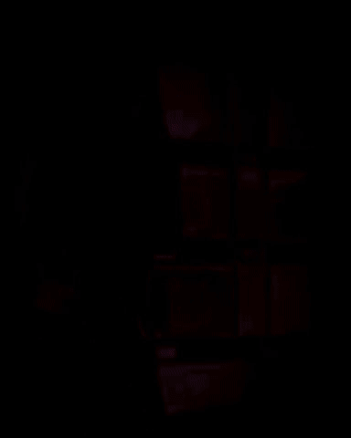 Happiness when you get your 3D Printer