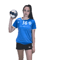 Handball Slovenia Sticker by RK Krim