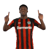 Swipe Up Sticker by Bayer 04 Leverkusen