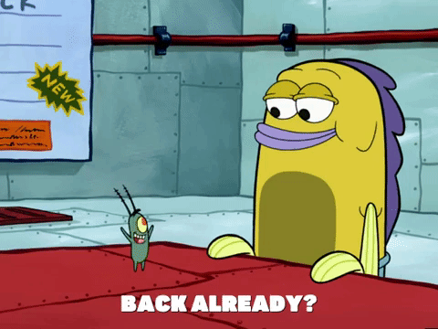 season 6 patty caper GIF by SpongeBob SquarePants