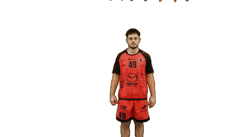 Handball Dragon Sticker by HCCA