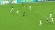 cartoleiros futebol vasco goleiro fernando miguel GIF