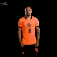 Fifa World Cup Uefa GIF by Respective