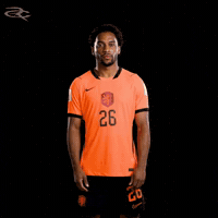 Fifa World Cup Uefa GIF by Respective