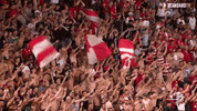 football fans GIF by Standard de Liège