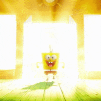 Spongebob GIF by Mikros Image