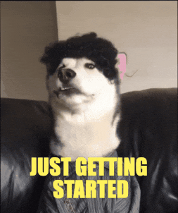 swagrman giphygifmaker husky crypto meme dog meme GIF
