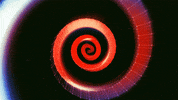 music festival art GIF by Bonnaroo Music and Arts Festival